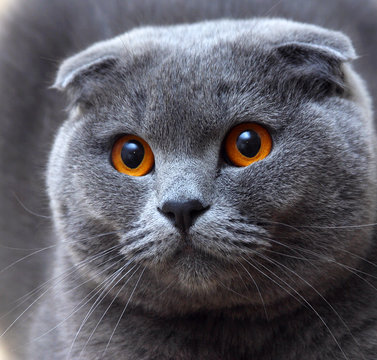 张伟